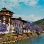 Фото и видеооператор в Бутан